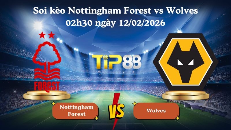 TIP88 Nhận định soi kèo Nottingham Forest vs Wolves 02h30 ngày 12/02/2026 - Ngoại Hạng Anh