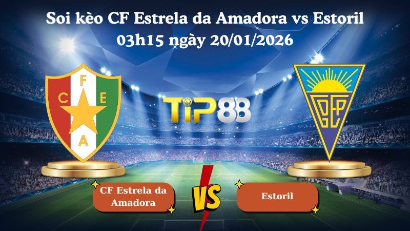 TIP88 Nhận định soi kèo CF Estrela da Amadora vs Estoril 03h15 ngày 20/01/2026 - VĐQG Bồ Đào Nha