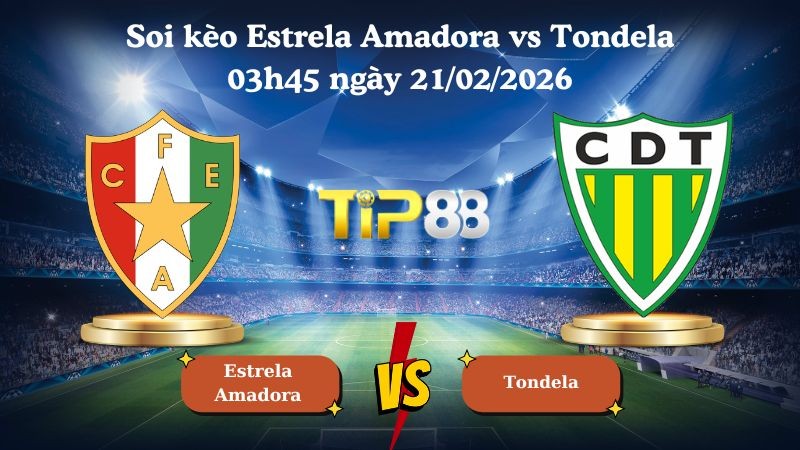 TIP88 Nhận định soi kèo Estrela Amadora vs Tondela 03h45 ngày 21/02/2026 - VĐQG Bồ Đào Nha